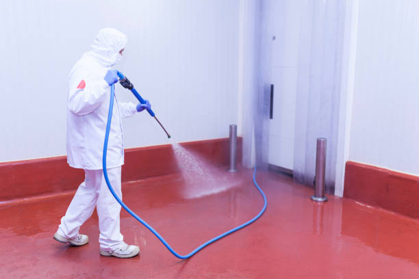 Trusted Leesburg, FL Pressure Washing Experts