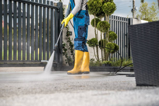 Best Rust Removal  in Leesburg, FL